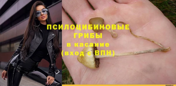 apvp Армянск