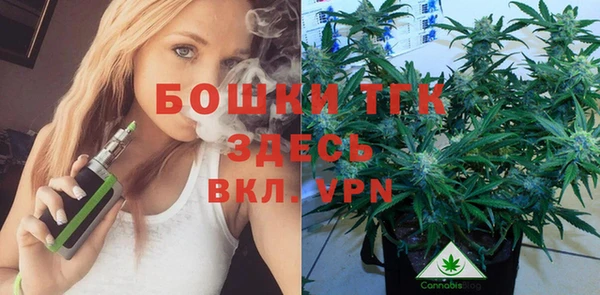 первитин Арсеньев