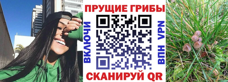 Псилоцибиновые грибы MAGIC MUSHROOMS  OMG tor  Уяр 